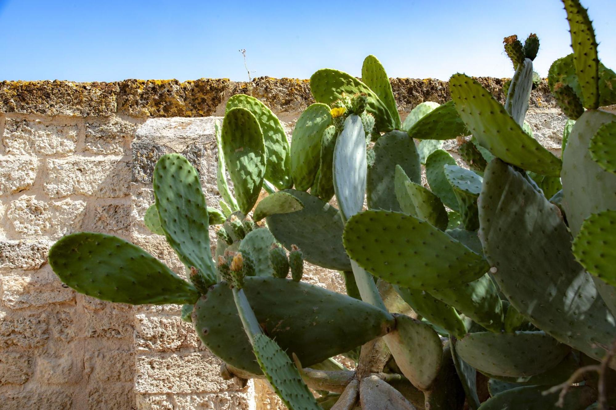 Masseria Bernardini By Symphonya Luxury Rentals Нардо Экстерьер фото